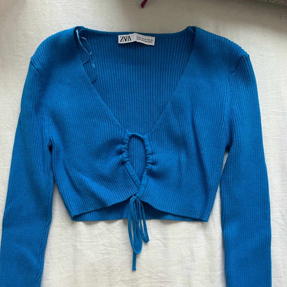 Zara crop top